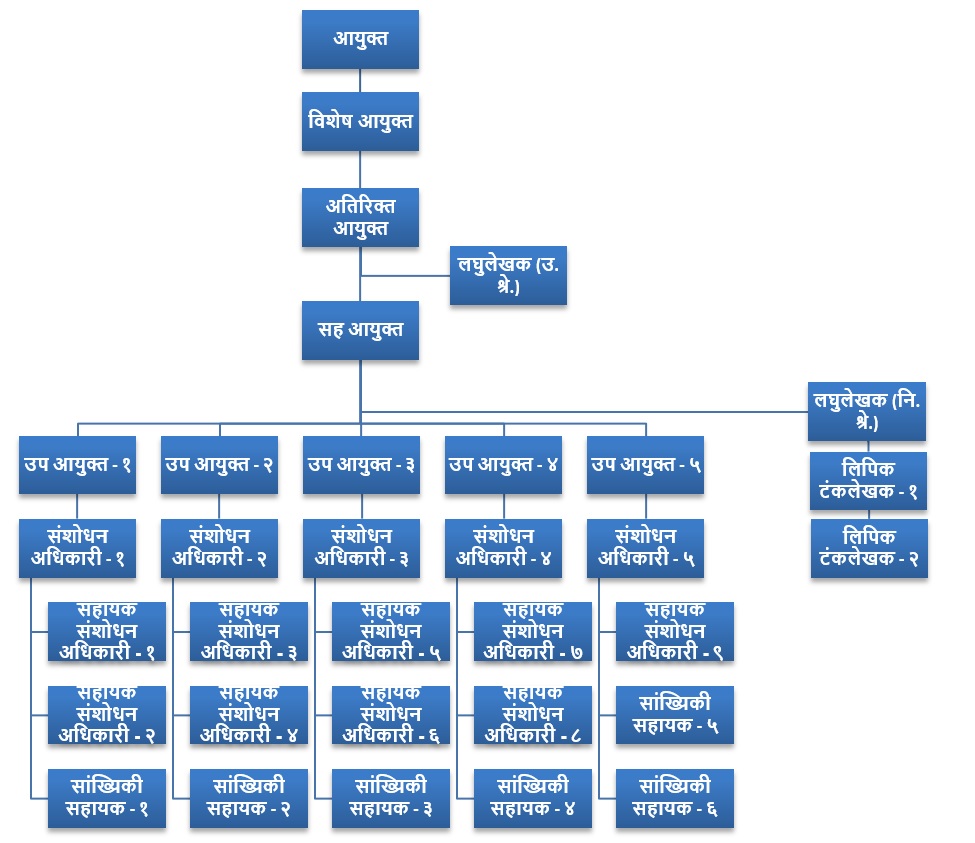 शाखेची रचना 