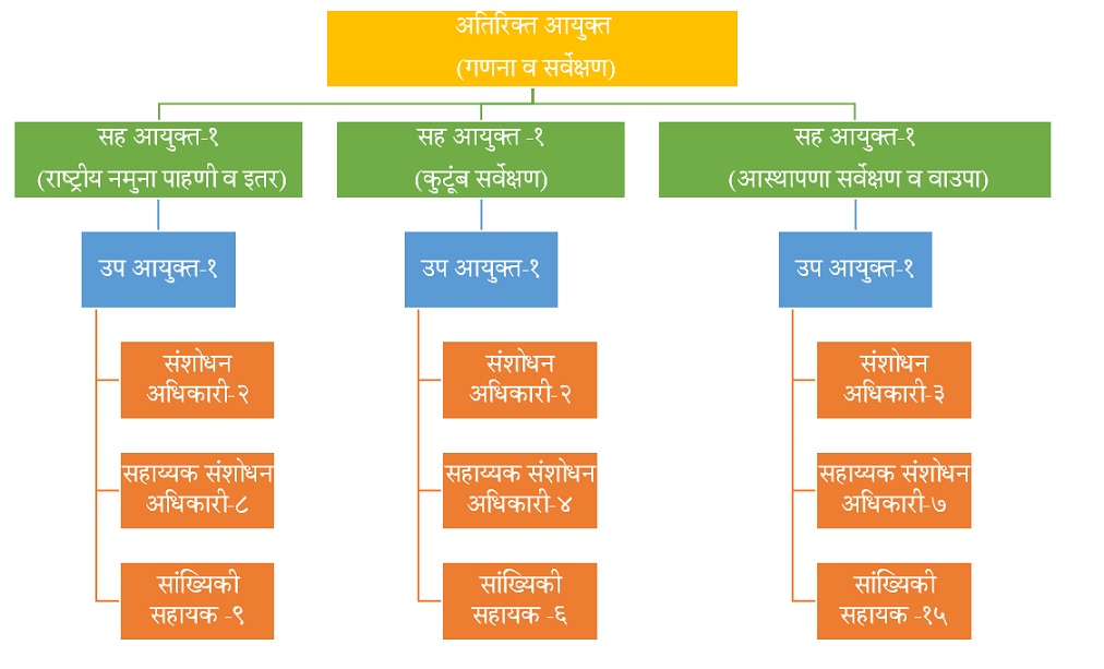 NSS शाखेची रचना