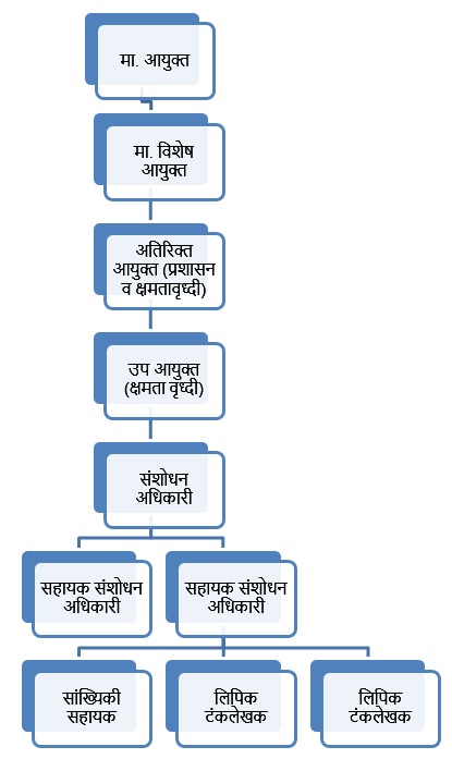 शाखेची रचना 